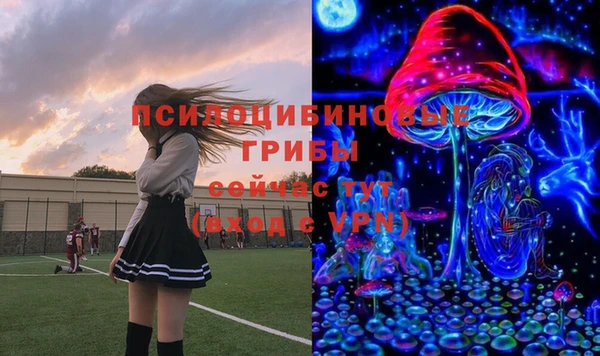 a pvp Абаза