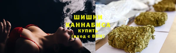индика Абдулино