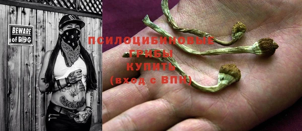 индика Абдулино
